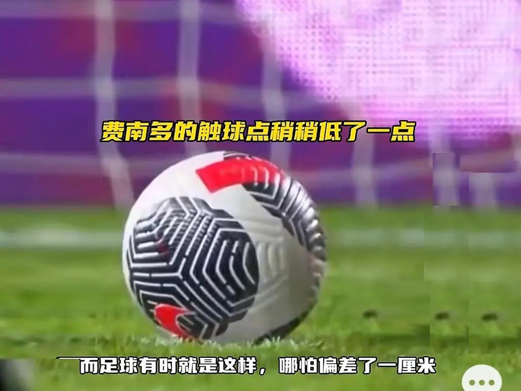 郑钦文需要